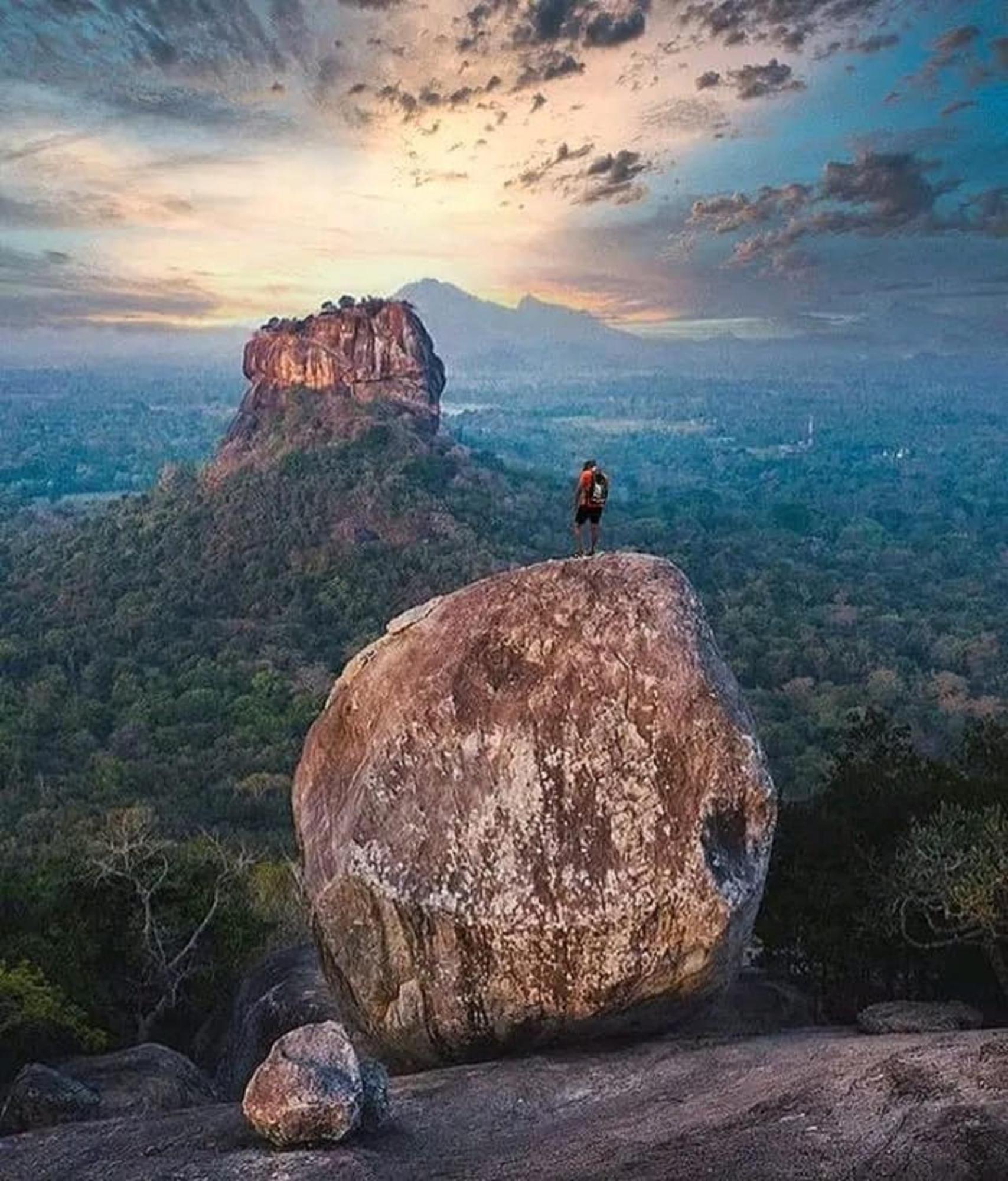 Sigiri Birds Hostel Sigiriya Bagian luar foto