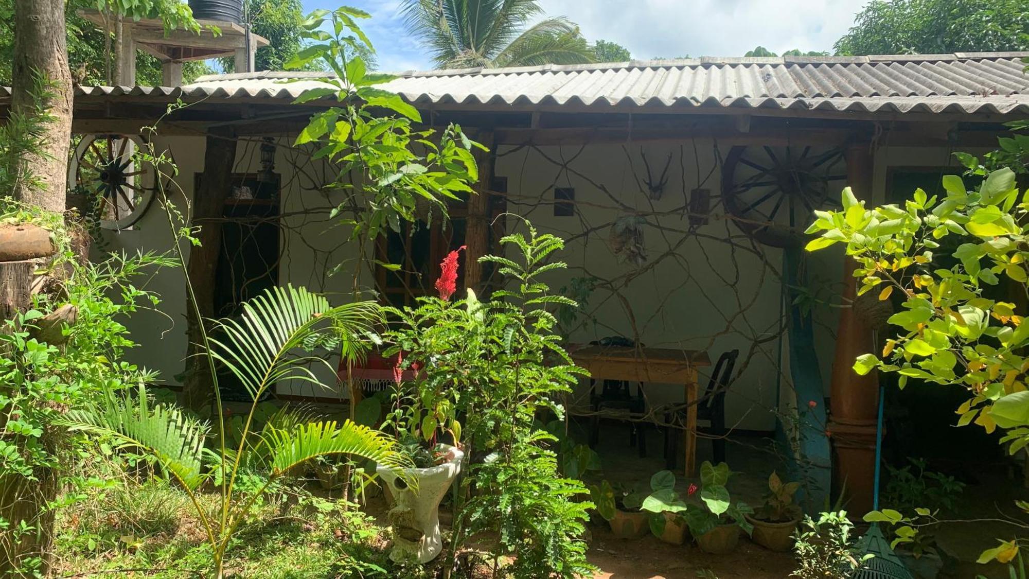 Sigiri Birds Hostel Sigiriya Bagian luar foto