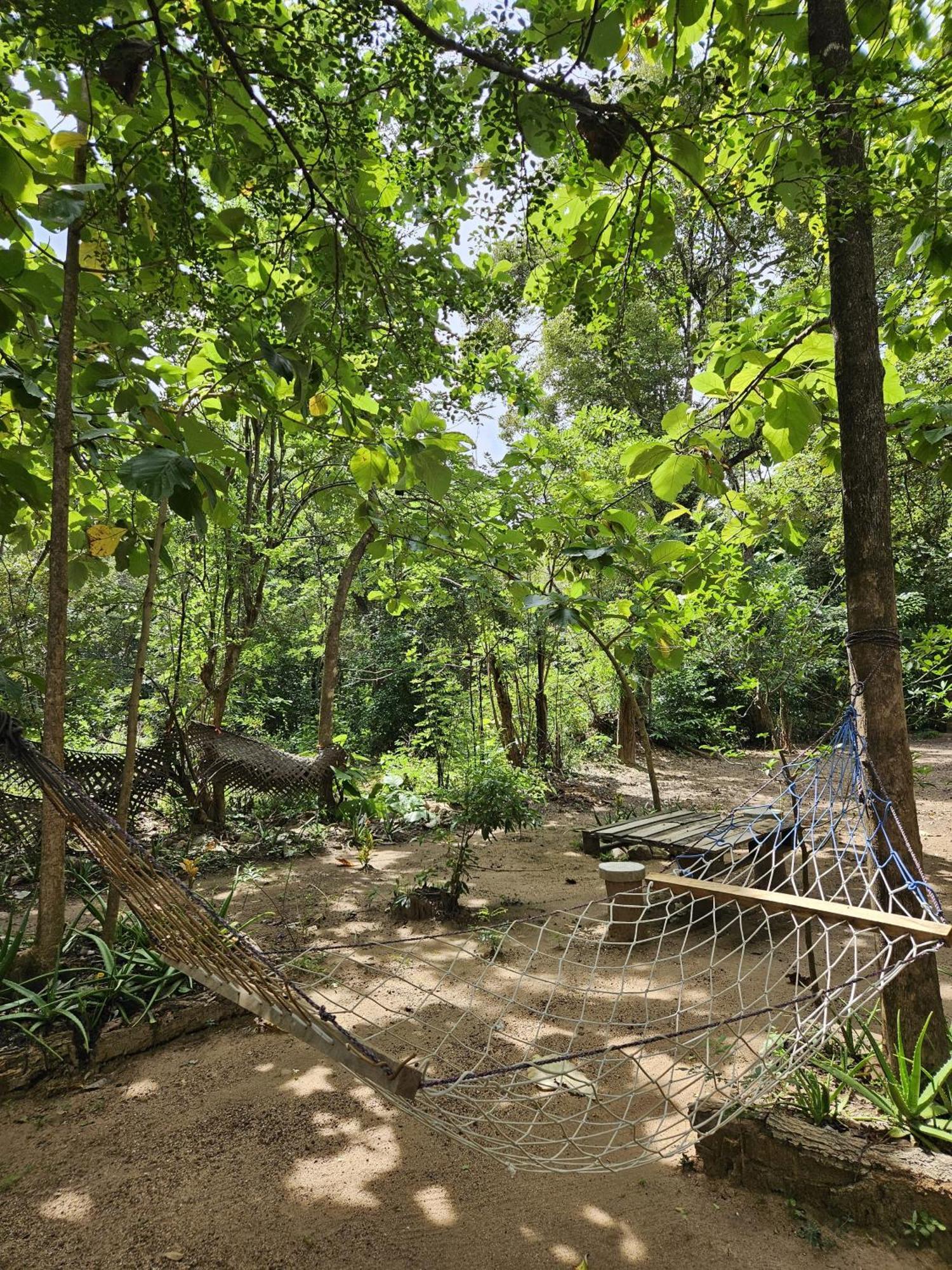 Sigiri Birds Hostel Sigiriya Bagian luar foto